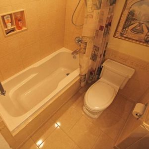 bath (269/360)